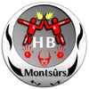 USCP Montsurs Handball